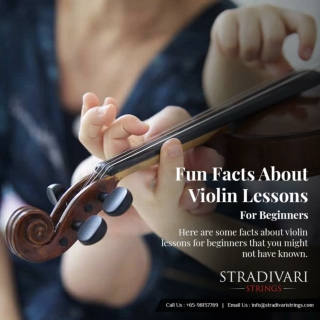 Fun Facts About Violin Lessons For Beginners