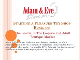 Starting a Pleasure Toy Shop Business