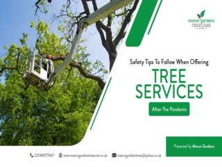 Safety Tips To Follow When Offering Tree Services After The Pandemic