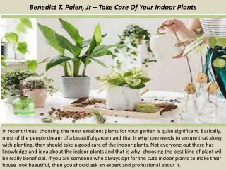 Benedict T. Palen, Jr – Take Care Of Your Indoor Plants