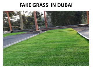 Sisal Rugs In Abu Dhabi