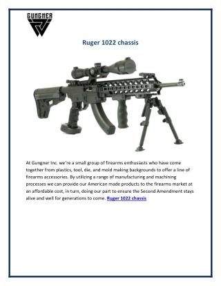 Ruger 1022 chassis