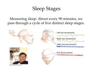 Sleep Stages