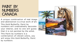 Beach Evening, Paint By Numbers Canada