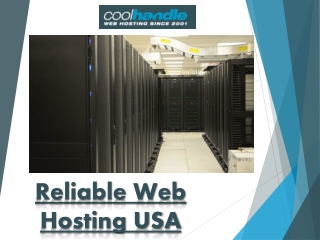 Reliable Web Hosting USA