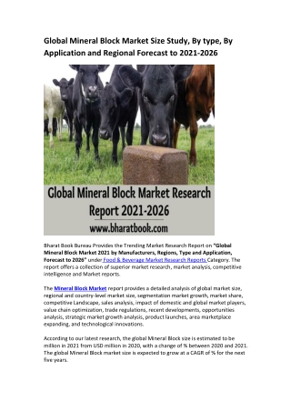 Global Mineral Block Market Research Report 2021-2026