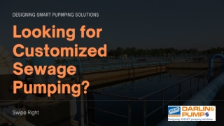 Looking for Customized Sewage Pumping