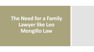The Need for a Family Lawyer like Leo Mongillo Law