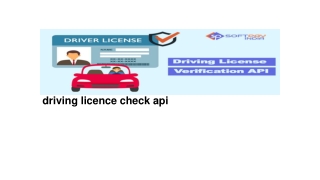 driving licence check api