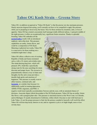 Tahoe OG Kush Strain
