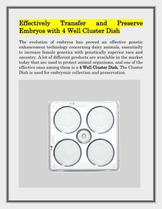 Sorting Dishes | SPI-MFG