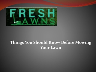 Things You Should Know Before Mowing Your Lawn