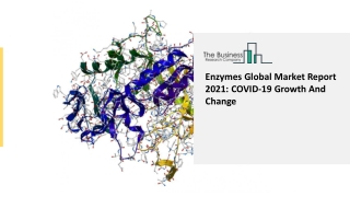 Global Enzymes Market Overview And Top Key Players by 2030