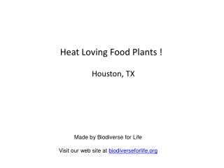 Heat Loving Food Plants !