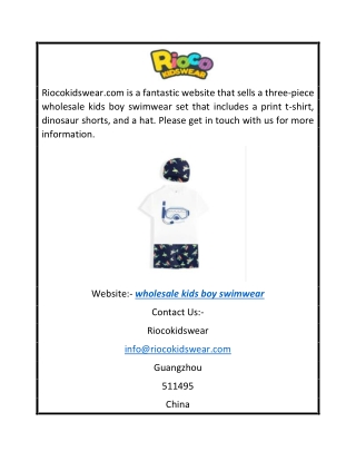 Wholesale Kids Boy Swimwear Riocokidswear