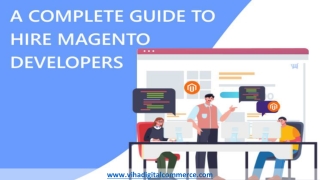 Scan Magento Developer Skills Before Hiring for your eCommerce Store