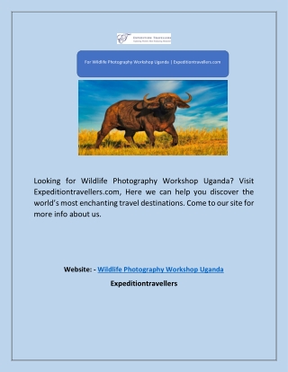 For Wildlife Photography Workshop Uganda | Expeditiontravellers.com
