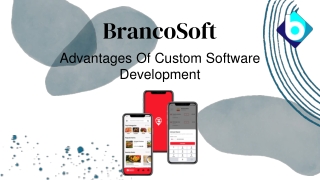 Advantages Of Custom Software Development
