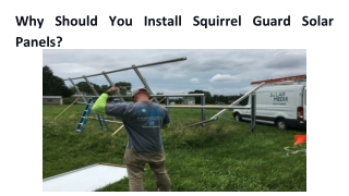 Why Should You Install Squirrel Guard Solar Panels?
