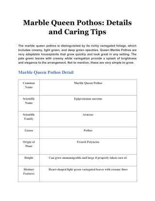 Marble Queen Pothos: Details and Caring Tips