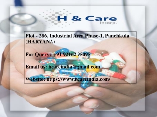 H & CARE INCORP