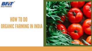 How to do organic farming in India | BFIT college Dehradun