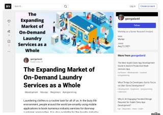 The Expanding Market of On-Demand Laundry Services as a Whole