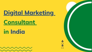 Digital Marketing Consultant in india