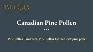 What all do you need to know about Pine Tree Pollen Supplements in 2021-22?