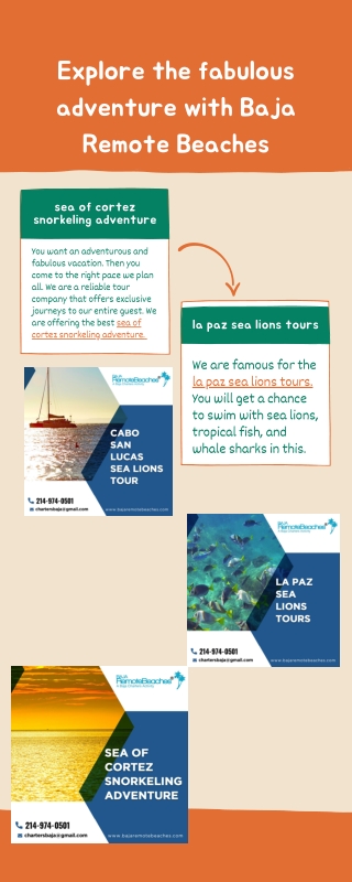 Explore the fabulous adventure with Baja Remote Beaches