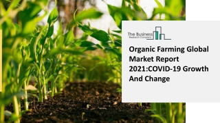 Global Organic Farming Market Forecast to 2030 | Growth and Trends