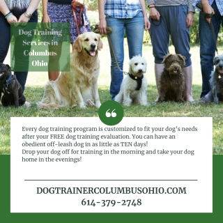 Dog Training Services in Columbus Ohio