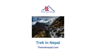 Trek in Nepal