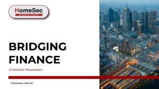 Bridging Finance