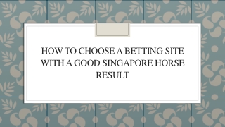 How To Choose A Betting Site With A Good Singapore Horse Result