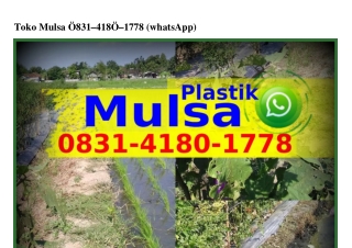 Toko Mulsa Ö831_418Ö_1778 [WhatsApp]