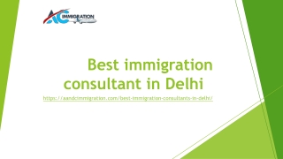 Best immigration consultant in Delhi