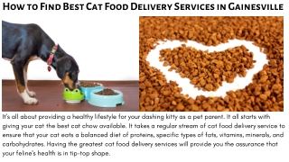 How to Find Best Cat Food Delivery Services in Gainesville by Down Town Tabby Pet Store