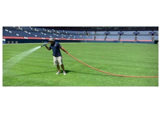 Sod Supplier Denver - Denver Stadium Sports Turf