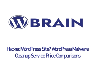 Hacked WordPress Site ? WordPress Malware Cleanup Service