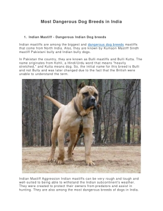 Giant Dog Breeds - Creature Companions