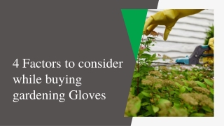 4 Factors to consider while buying gardening Gloves