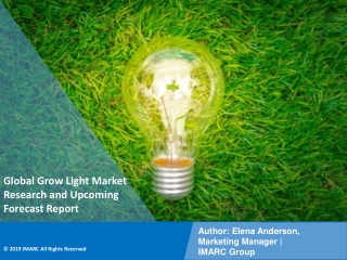 Grow Light Market PPT: Demand, Trends and Business Opportunities