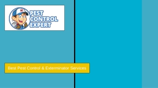 Best Pest Control & Exterminator Services - Pest Control Expert