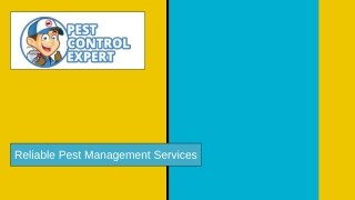 Reliable Pest Management Services - Pest Control Expert