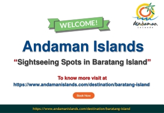 Sightseeing Spots in Baratang Island