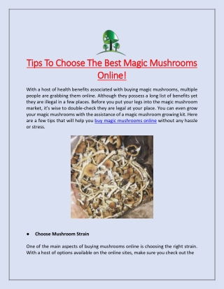 Tips To Choose The Best Magic Mushrooms Online!