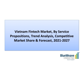 Vietnam Fintech Market Growth 2021