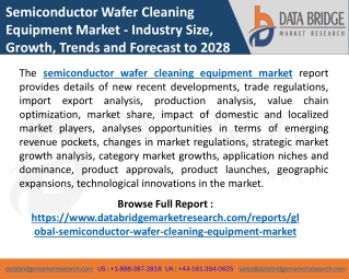 Semiconductor Wafer Cleaning Equipment Market Industry Share, In-depth Analysis