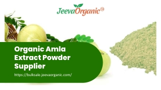 Organic Amla Extract Powder Supplier